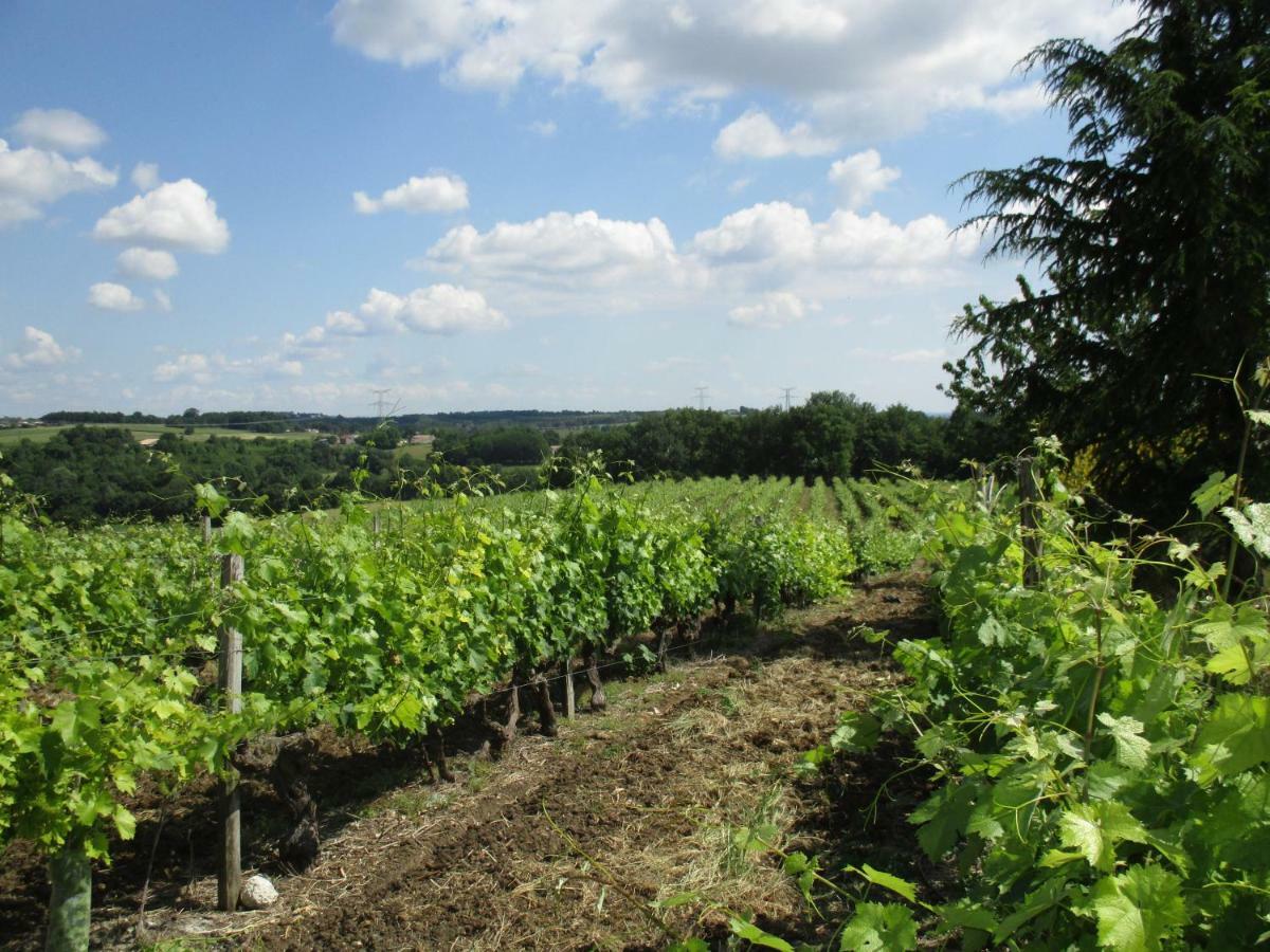 Вилла Logis De Bois Roche Saint-Bonnet-sur-Gironde Экстерьер фото