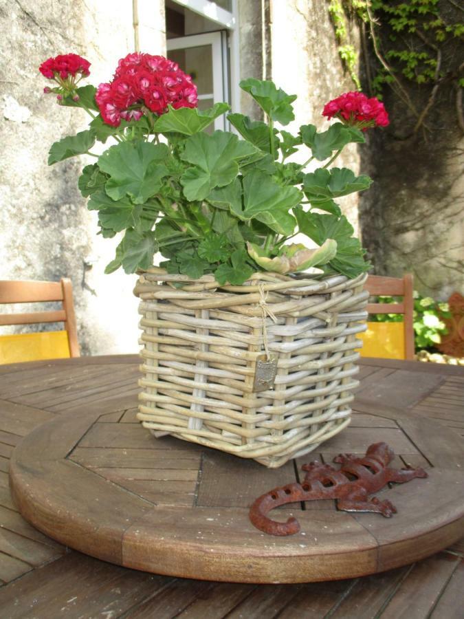 Вилла Logis De Bois Roche Saint-Bonnet-sur-Gironde Экстерьер фото